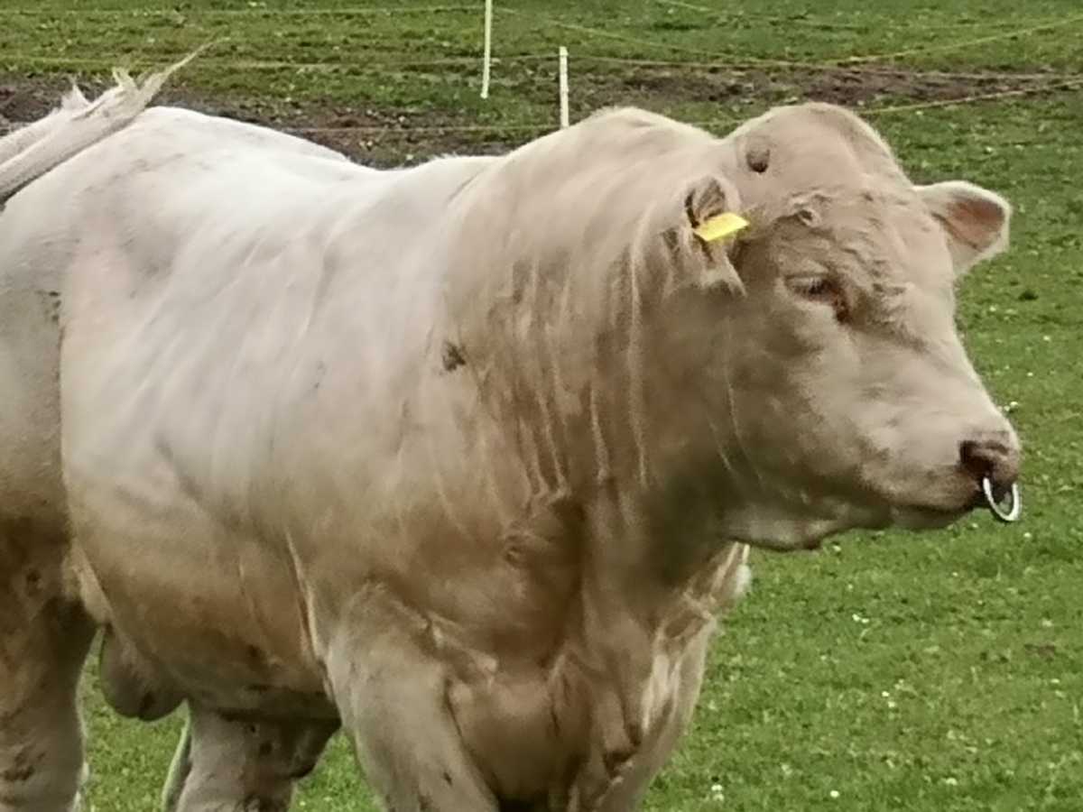 Img 20190620 114232(1)